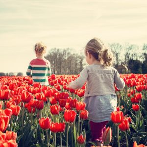 wat missen nederlanders in het buitenland