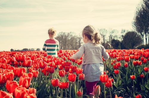 wat missen nederlanders in het buitenland
