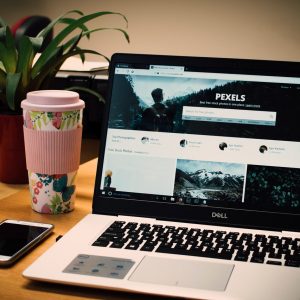 gratis stockfoto's